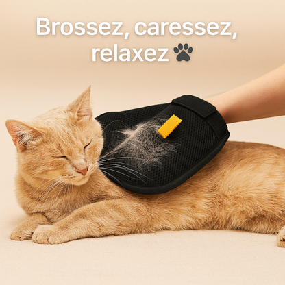 Gants réutilisables pour le nettoyage des poils d'animaux